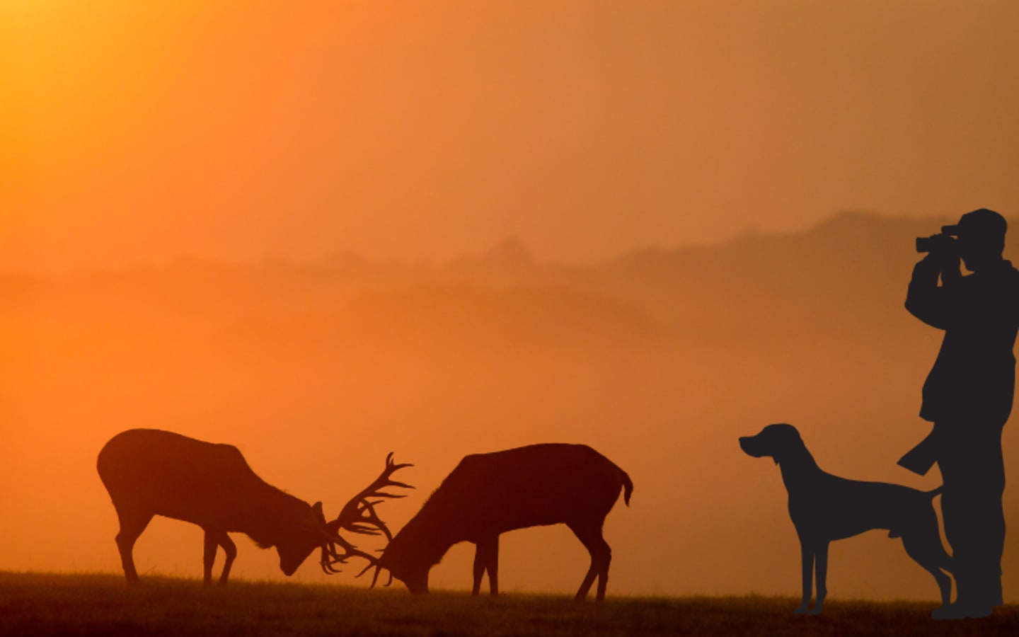 Connecticuts New Sunday Hunting Law