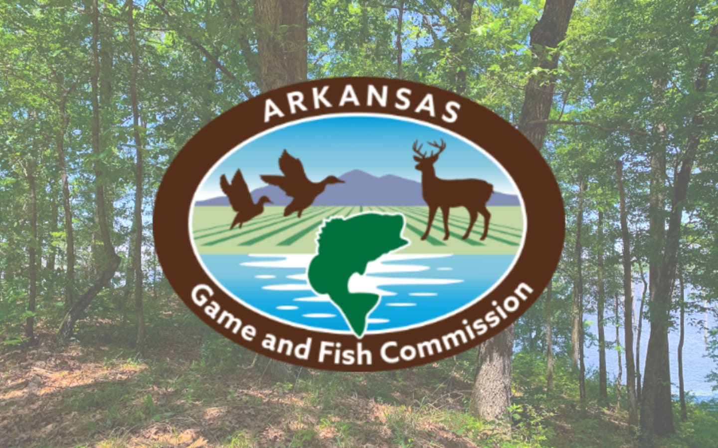 Arkansas Boosts Hunting Access in 2026
