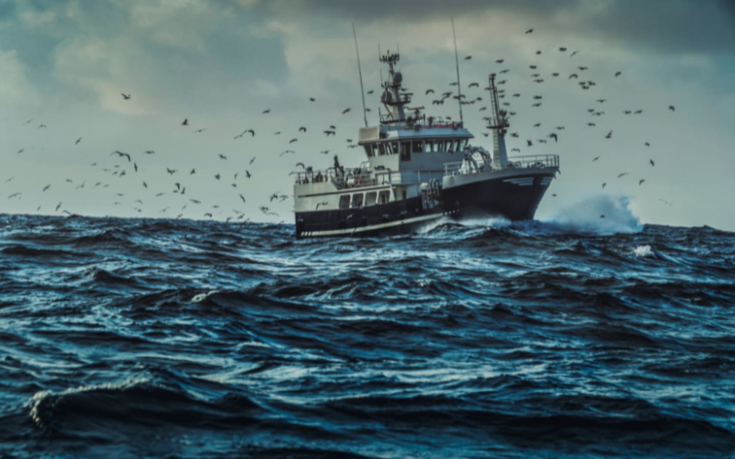 FISH Act Fights Illegal Fishing to Save US Jobs