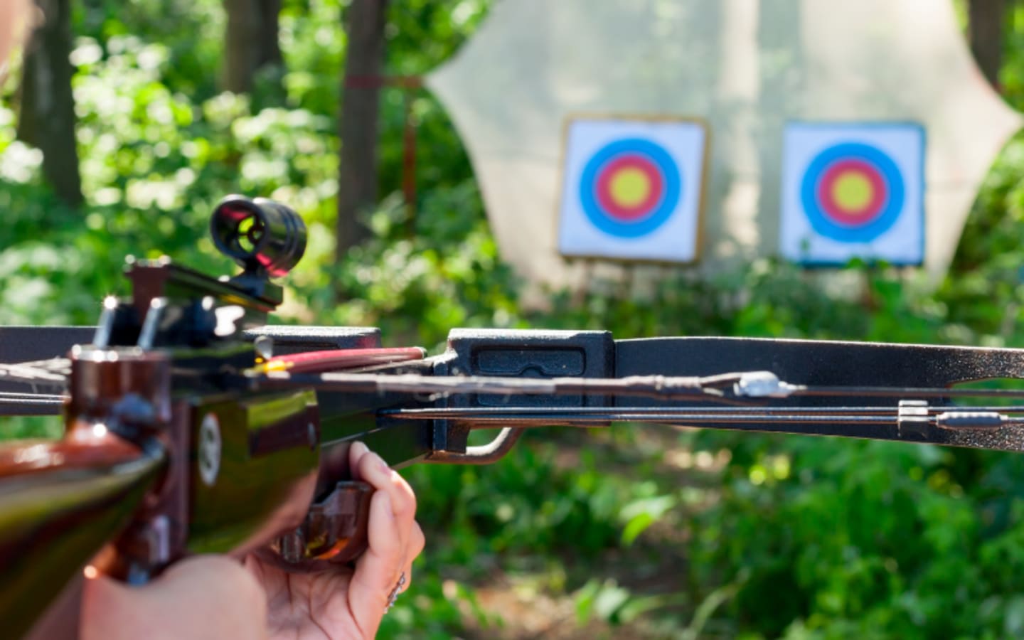 New Yorks Crossbow Bill A GameChanger for Hunters