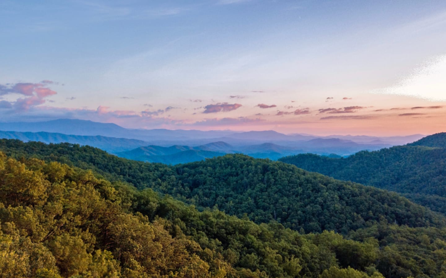 TWRA Scraps License Fee Hike What It Means for 2025