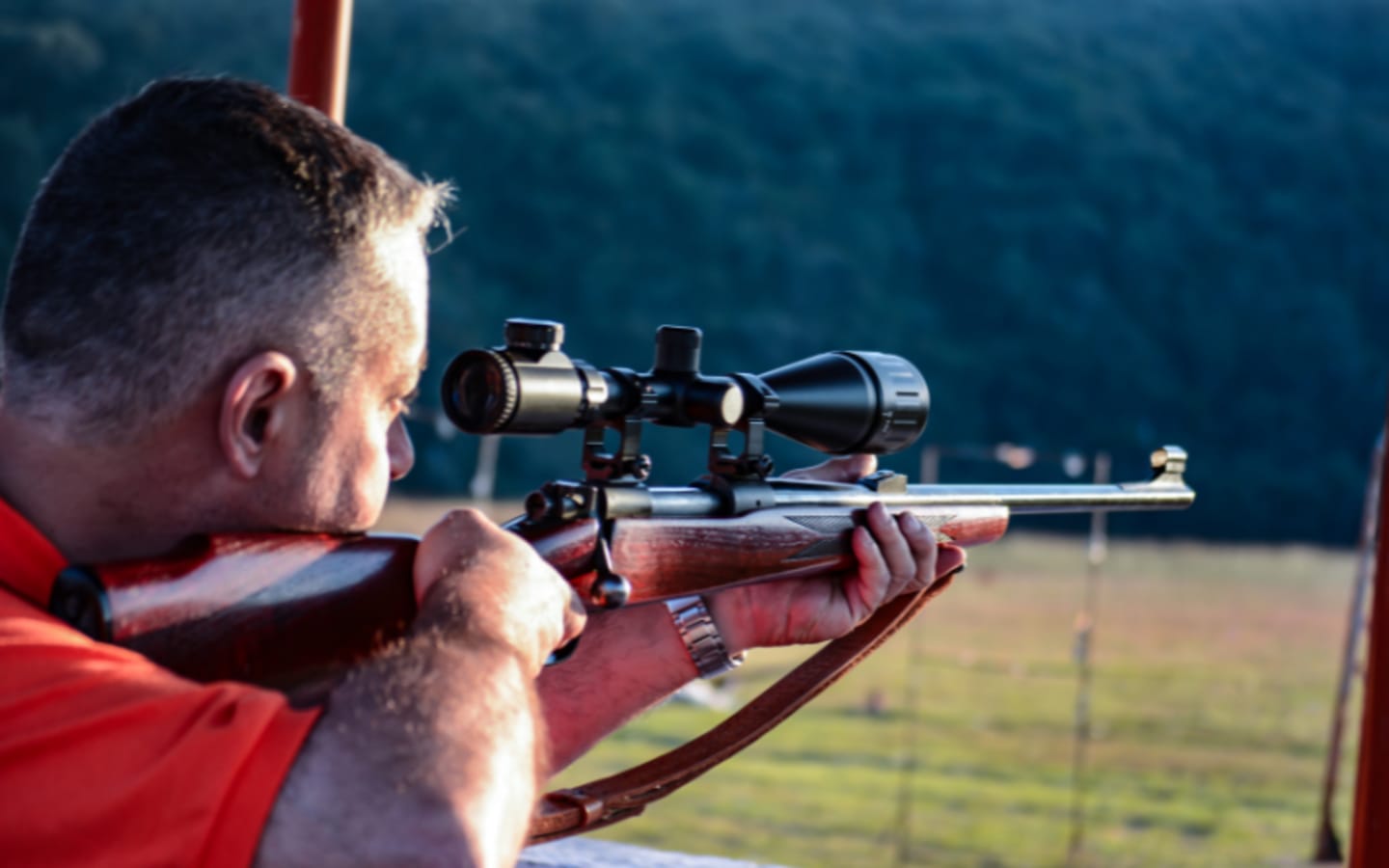 Why Do Americans Back Sport Shooting Intentions Are Key