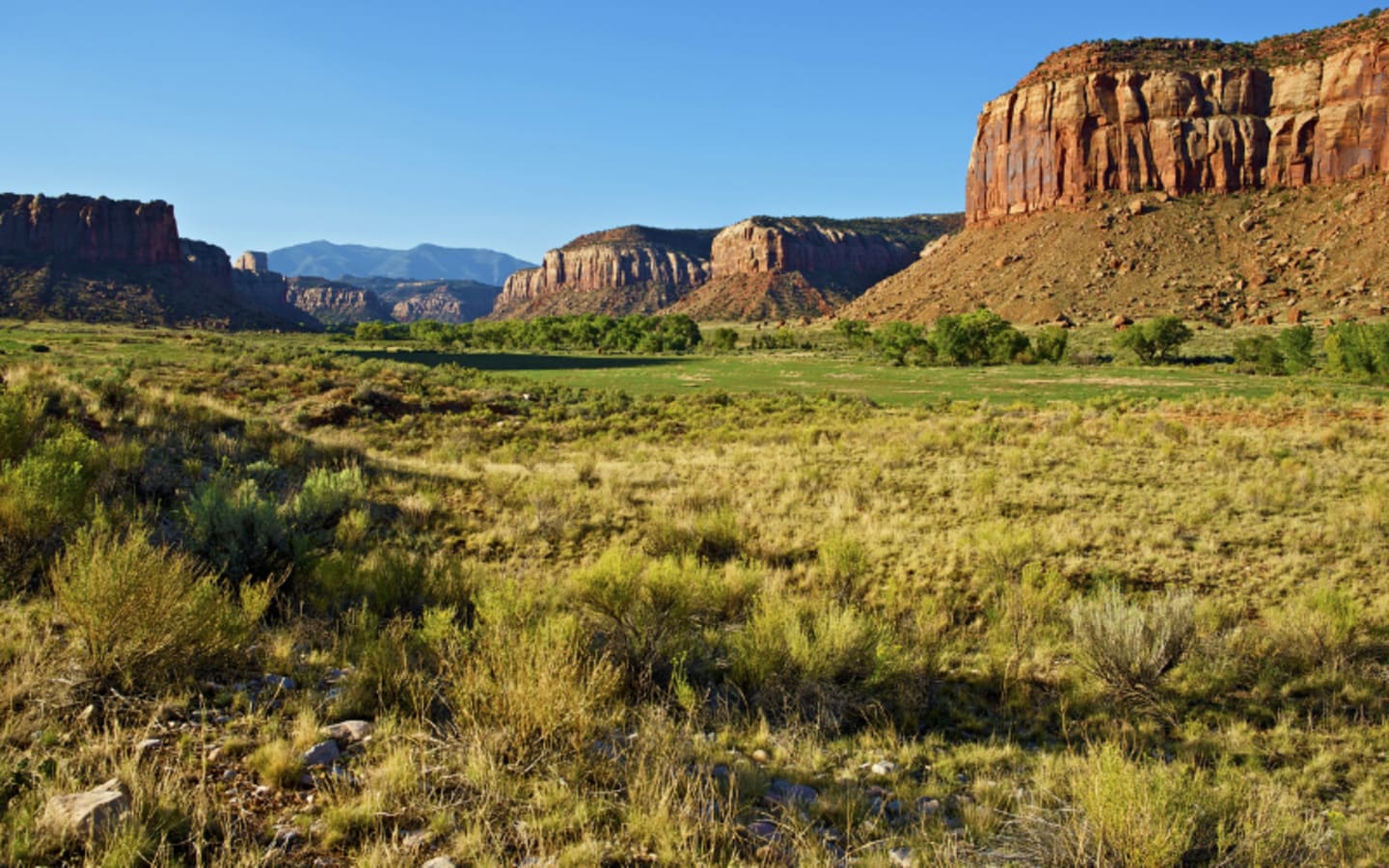 Public Lands at Risk Mike Lee Faces Backlash