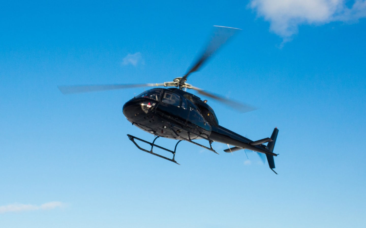 Idaho Poachers Costly Mistake With A Helicopter