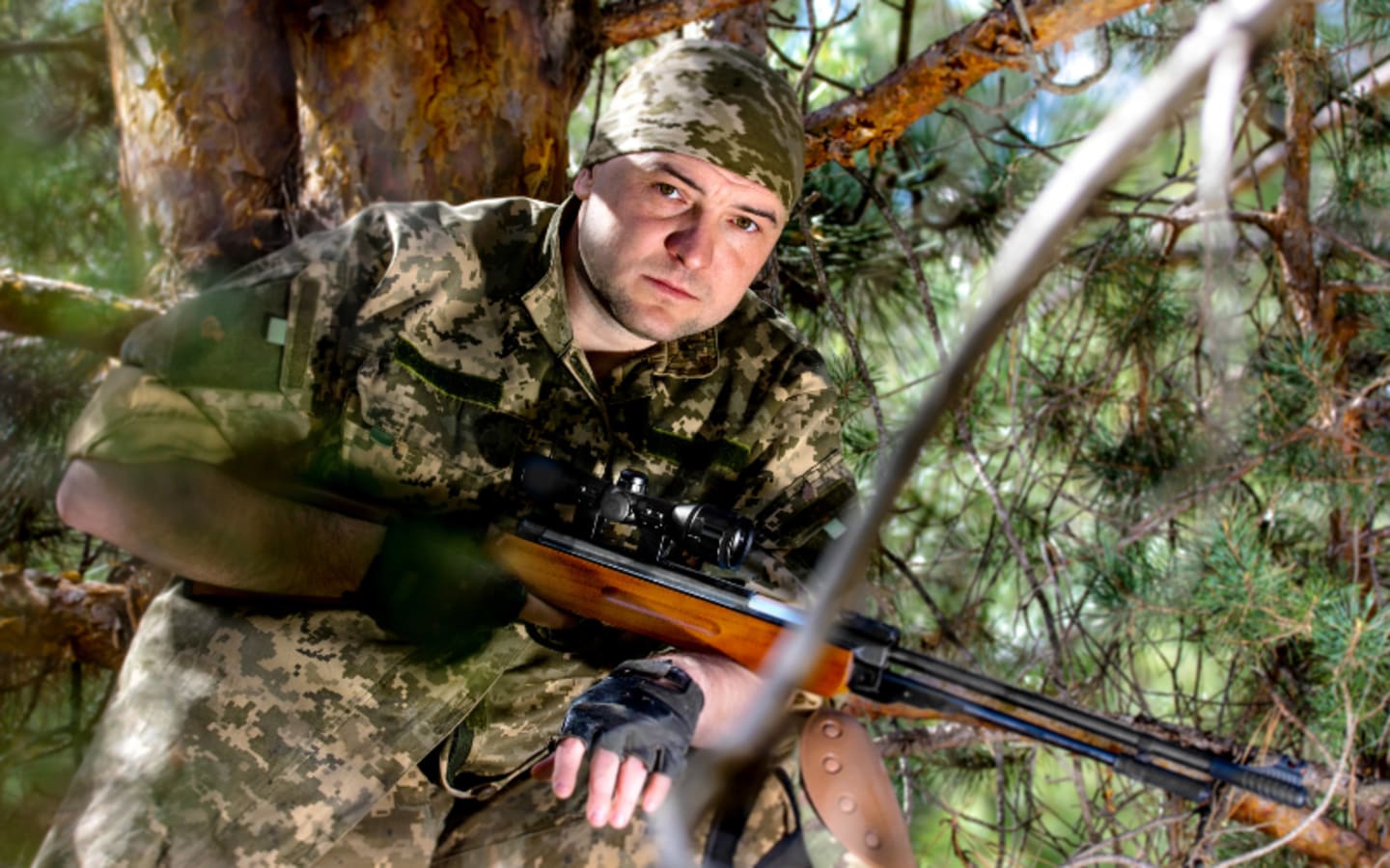 Are Air Rifles Coming To Big Game Hunting in PA