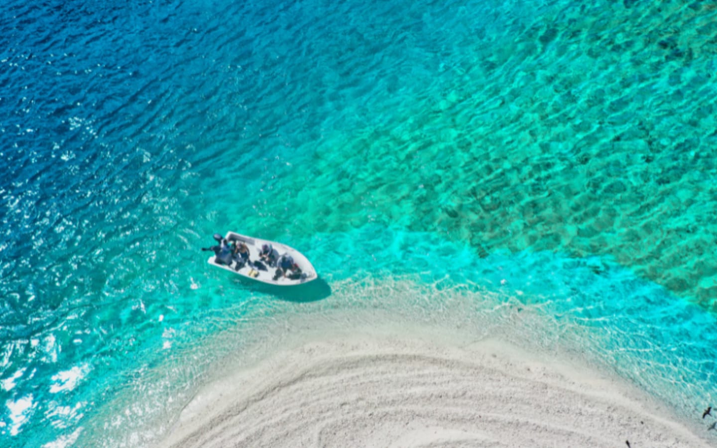 AI Is Now Busting Ocean Poachers