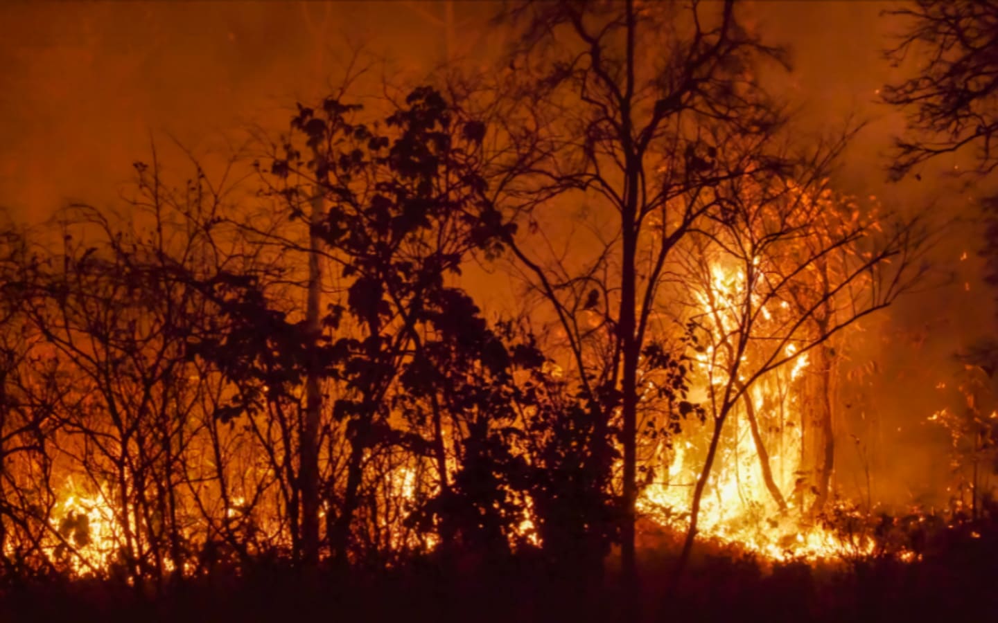 Texas Hunters Warned Prevent Wildfires This Season
