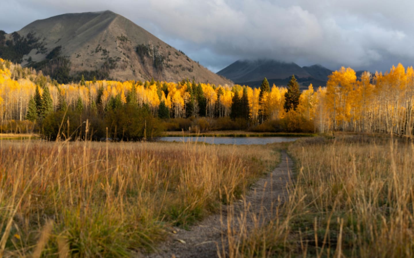 Could Utahs Quiet Land Fix Save the West You Love