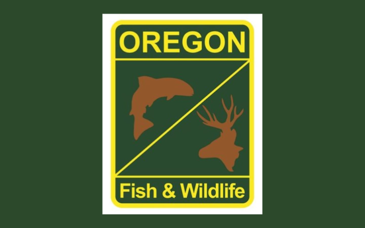 No License Needed Fish Oregon Free This Weekend