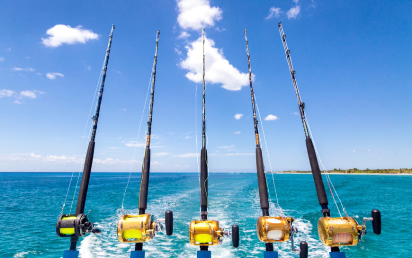 Why the Caribbean Just Slammed the Door on Red Hind This Winter