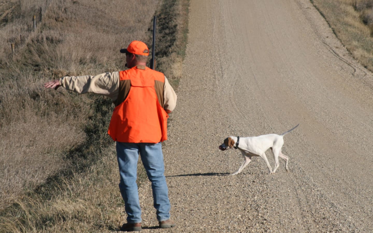 Grab Your 2026 Iowa License Before Its Gone