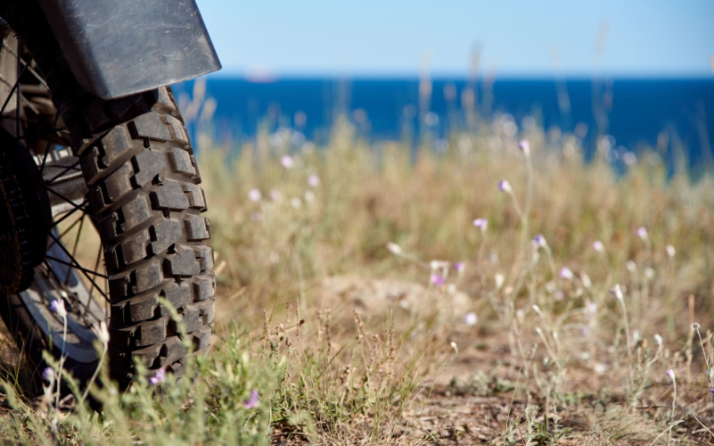 Escape the Grind Hondas Rugged Spanish Rides Await in 2026