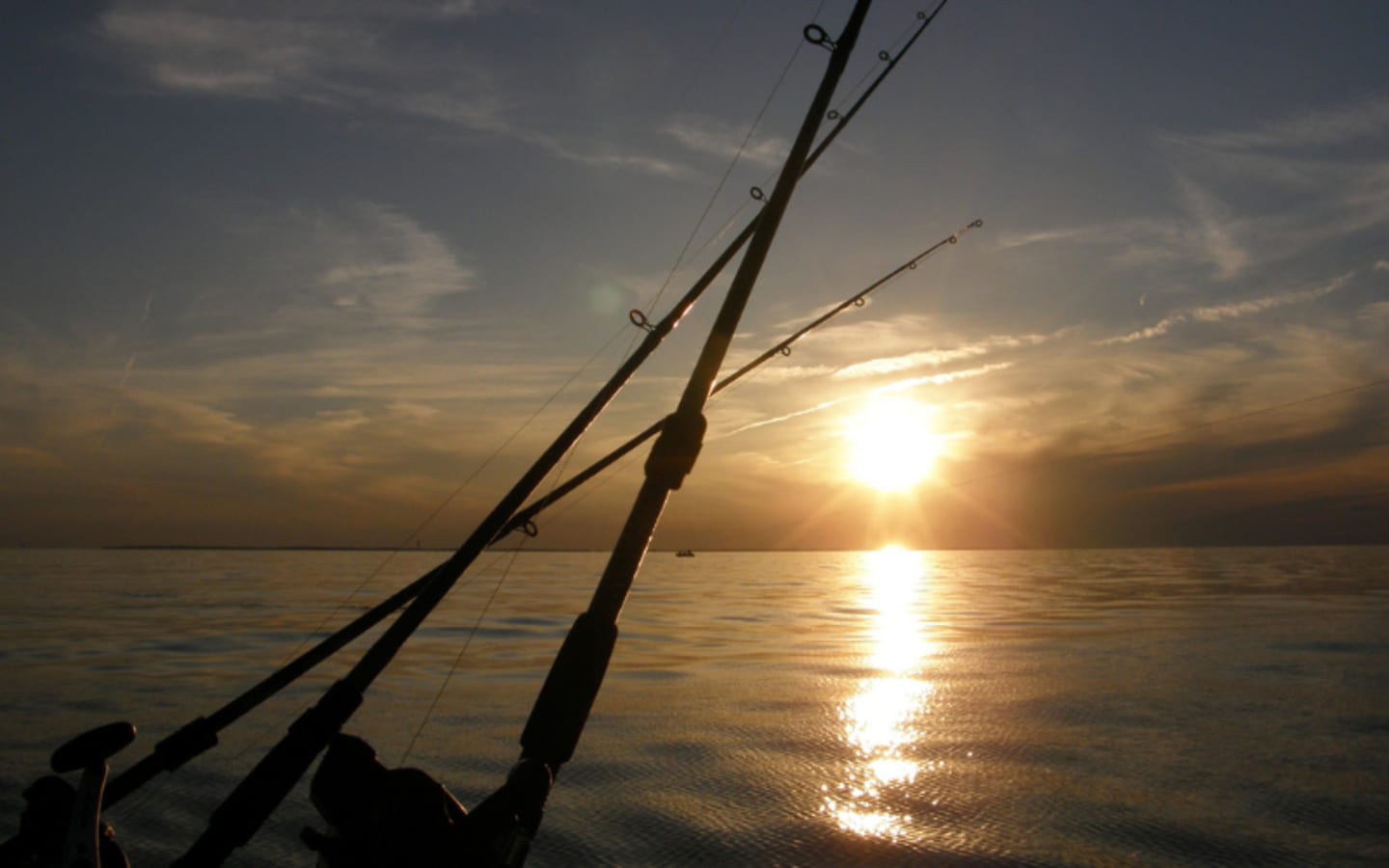 Why Lake Eries Walleye Boom Means Epic Fishing Ahead