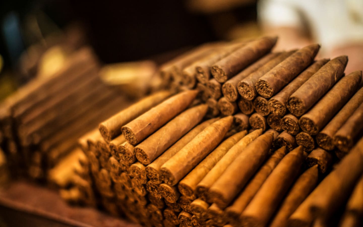 Premium Cigar Sales Keep Climbing Despite Tariff Fears