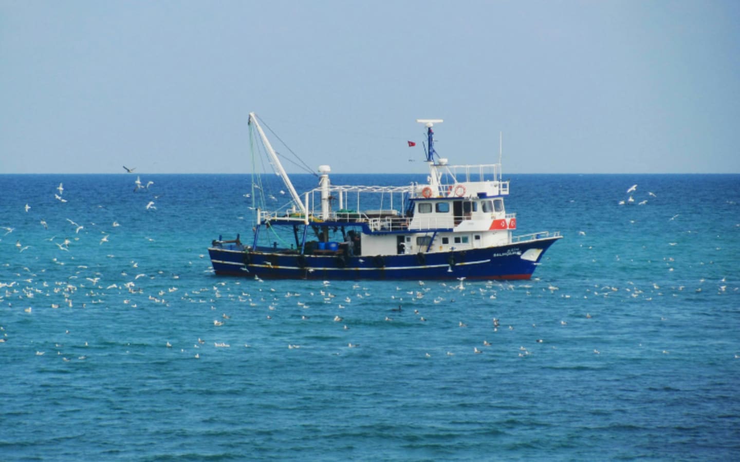 Great Lakes Fisheries End Decades of Throwing Away Fish Parts