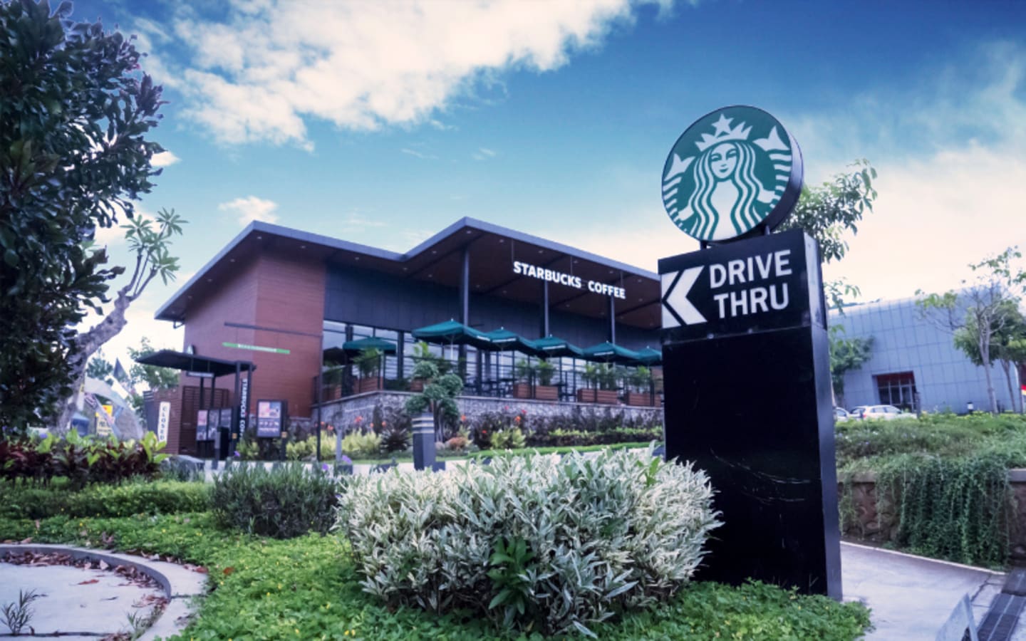 Can Starbucks Hold Its Ground in Americas Coffee War