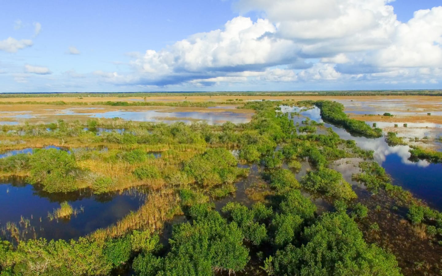 Florida Bill Could Silence Hunting Advocates