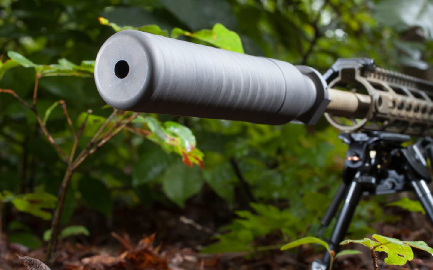 Silencer Laws Face Major Changes Nationwide