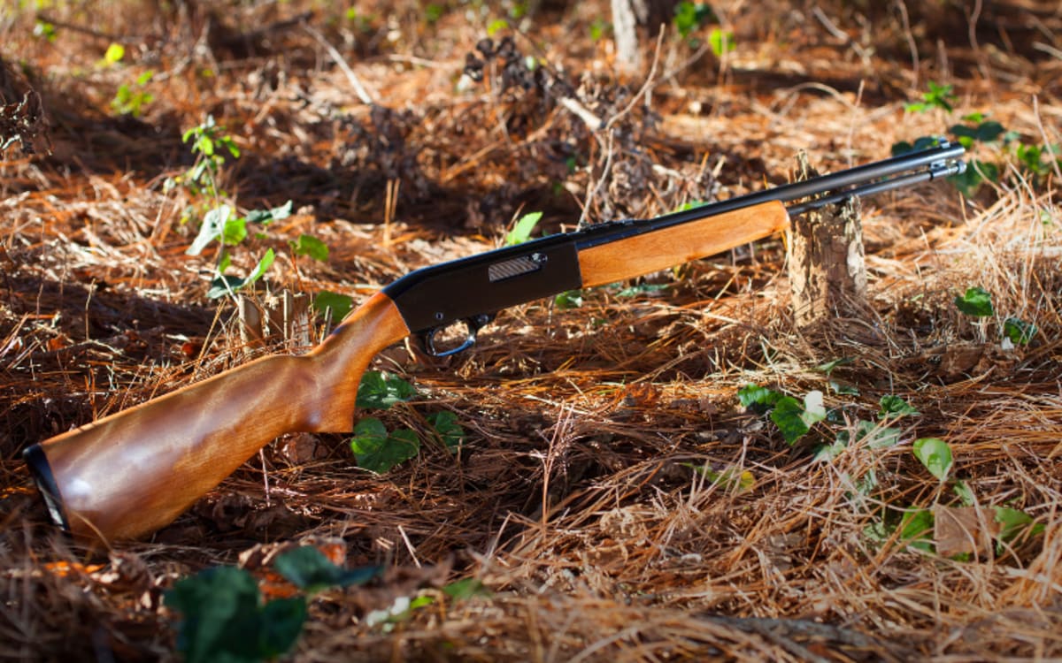 11 Skills for Caring for Your Gun in the Wild