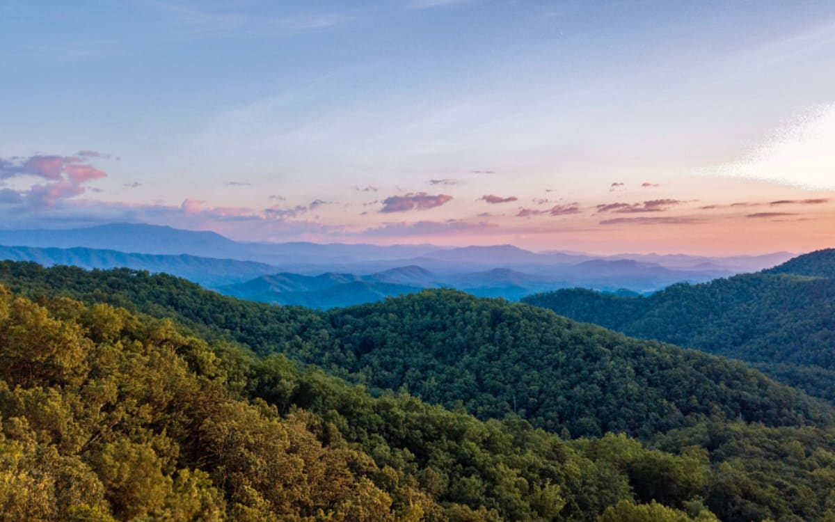 TWRA Scraps License Fee Hike: What It Means for 2025