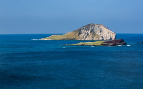 Will Trump Reopen Hawaiian Waters to Fishing?