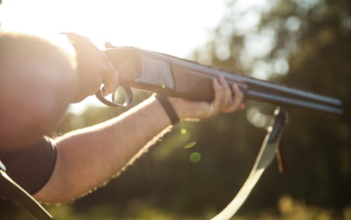 Lead Ammo Ban: A Game-Changer for Wildlife and Health