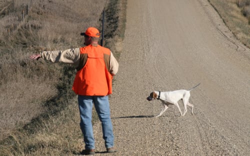 Grab Your 2026 Iowa License Before It's Gone