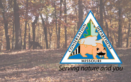 Missouri Hunting Seasons 2026: Key Changes Ahead
