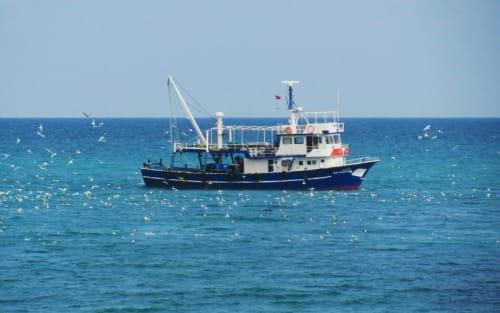 Great Lakes Fisheries End Decades of Throwing Away Fish Parts