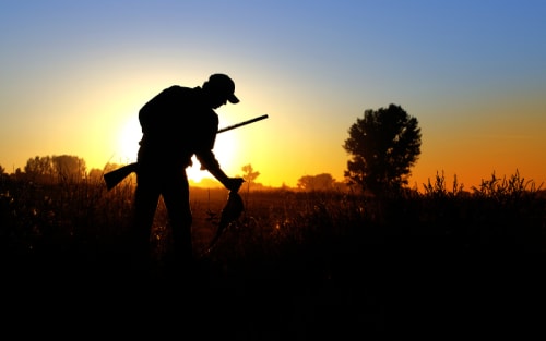 Trump's Interior Chief Opens Federal Lands to Hunters