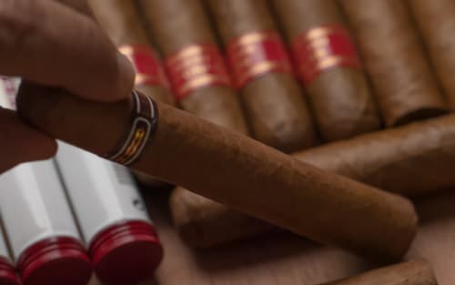 America's Cigar Shops Reveal What Size Really Sells