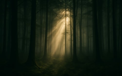 The Animals Most Likely to Follow You in the Woods Without You Knowing