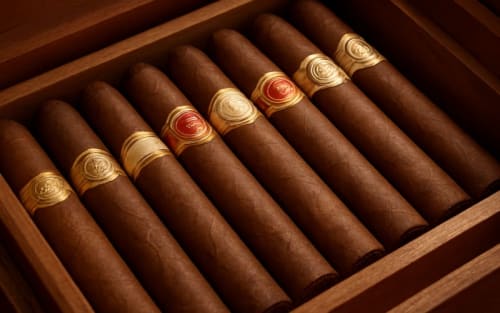 11 Superb Cigars To Smoke Right Now