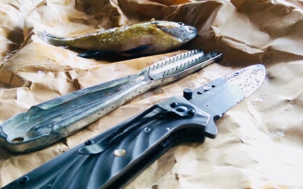 Choosing the Best Knife for Cleaning Fish