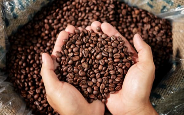 Coffee Basics: Flavor Profiles You Should Know