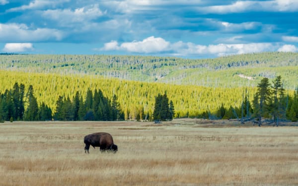 10 Must-See National Parks for Adventurers in 2025