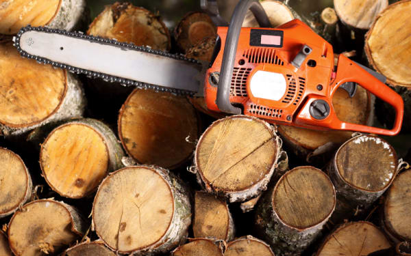 How to Build a Backyard Sawmill: A DIY Guide to Cut Your Own Lumber