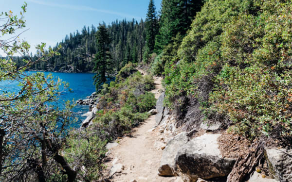 Trail Spotlight: The Rubicon Trail - Will Your 4×4 Make It?