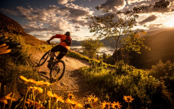 The Best Mountain Biking States in The U.S.