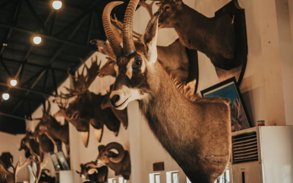 9 Places Hunters Might Lose Access To