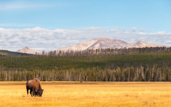 Top 8 National Parks for Memorial Day