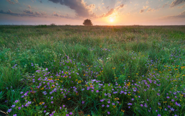 Why Oklahoma’s New Hunting Rules Matter for 2025