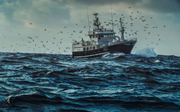 FISH Act Fights Illegal Fishing to Save U.S. Jobs