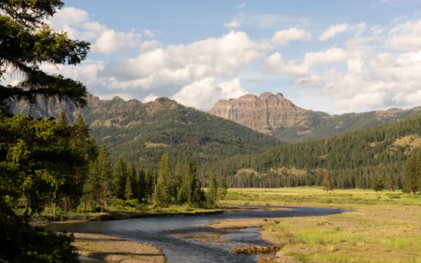 Why Yellowstone’s Rivers Are Closing to Fishing