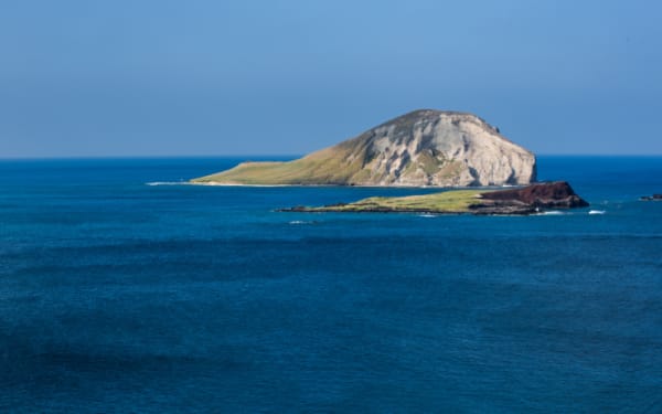 Will Trump Reopen Hawaiian Waters to Fishing?