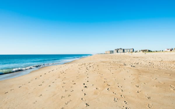Delaware Frees Up Surf Fishing: More Beach, Less Hassle
