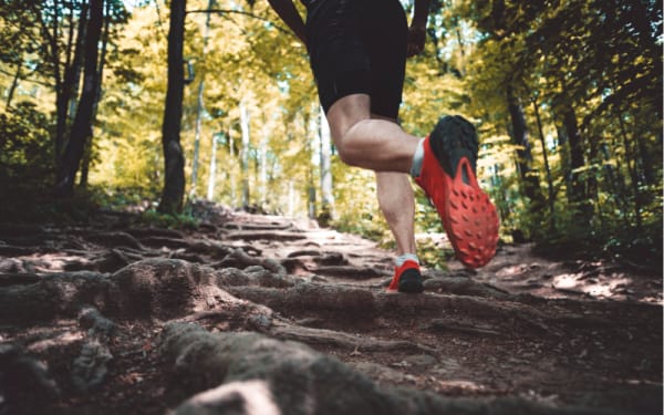 Utah’s New Outdoor Law: Who Pays for Wildlife?