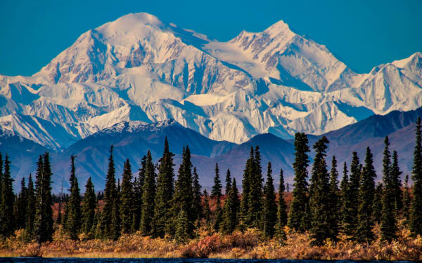 Alaska’s 2025-2026 Hunting Season: New Rules to Know