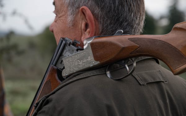 Wildlife Under Fire: The Hidden Costs of New Hunting Laws