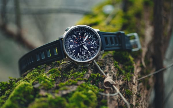 Top Watches for Outdoorsmen